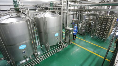 什么是蒸汽烹飪技術(shù) 燃?xì)庹羝l(fā)生器用于食品加工,均勻加熱營養(yǎng)不流失